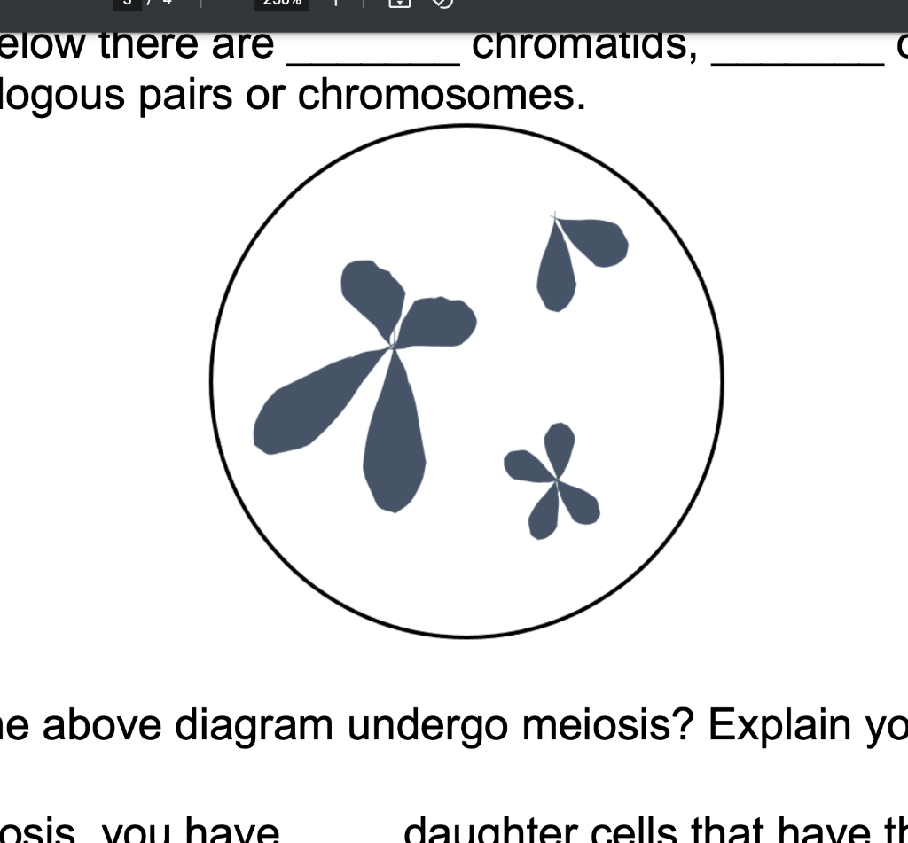 Solved Can The Cell In The Above Diagram Undergo Meiosis? | Chegg.com