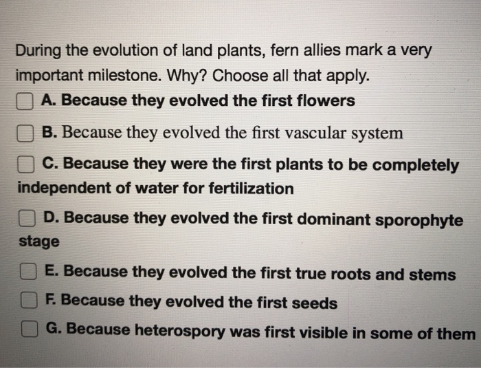 Solved During the evolution of land plants, fern allies mark | Chegg.com