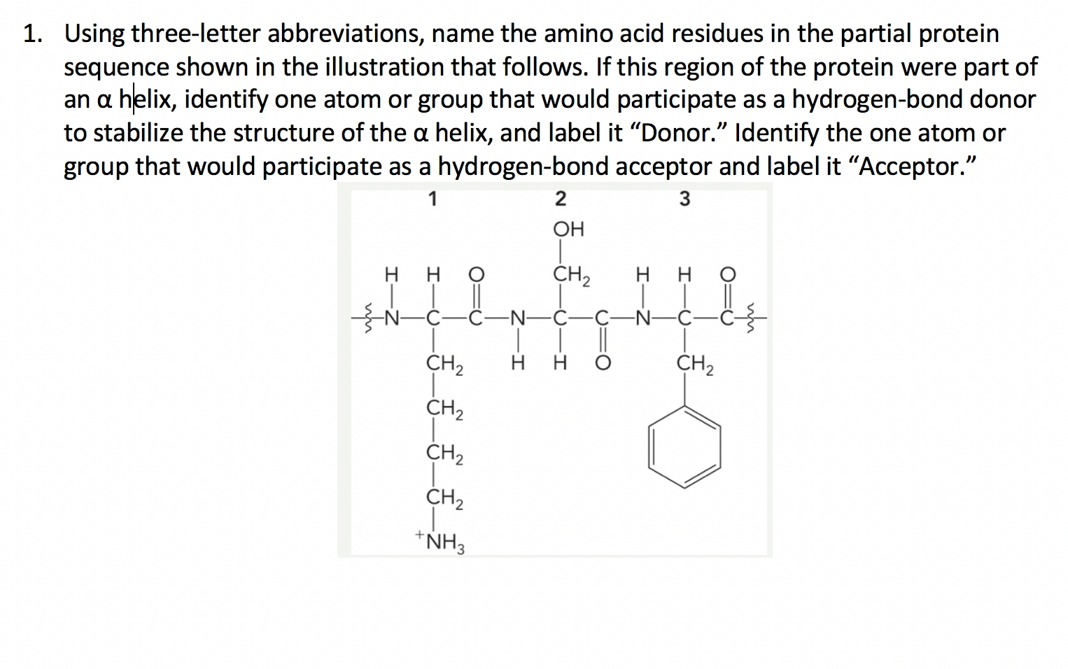 Solved 1. Using three-letter abbreviations, name the amino | Chegg.com