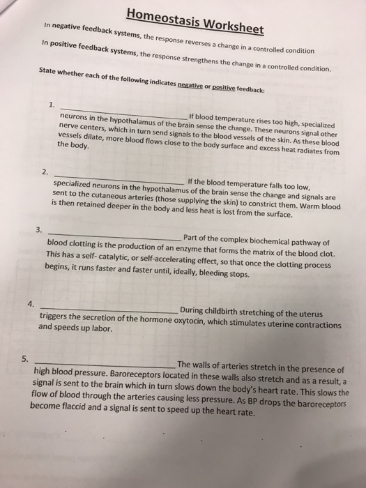 Solved Homeostasis Worksheet In Negative Feedba In Positive Chegg