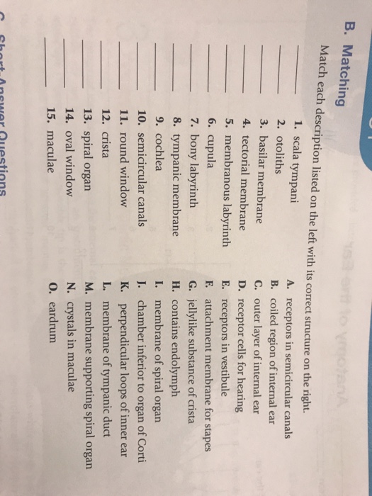 Solved B. Matching Match each description listed on the left | Chegg.com