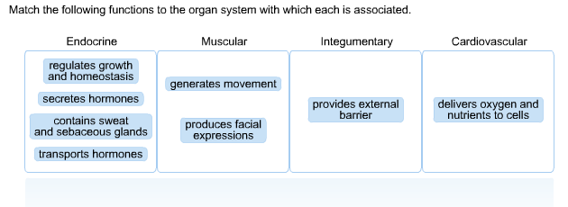 Solved Match the following functions to the organ system | Chegg.com