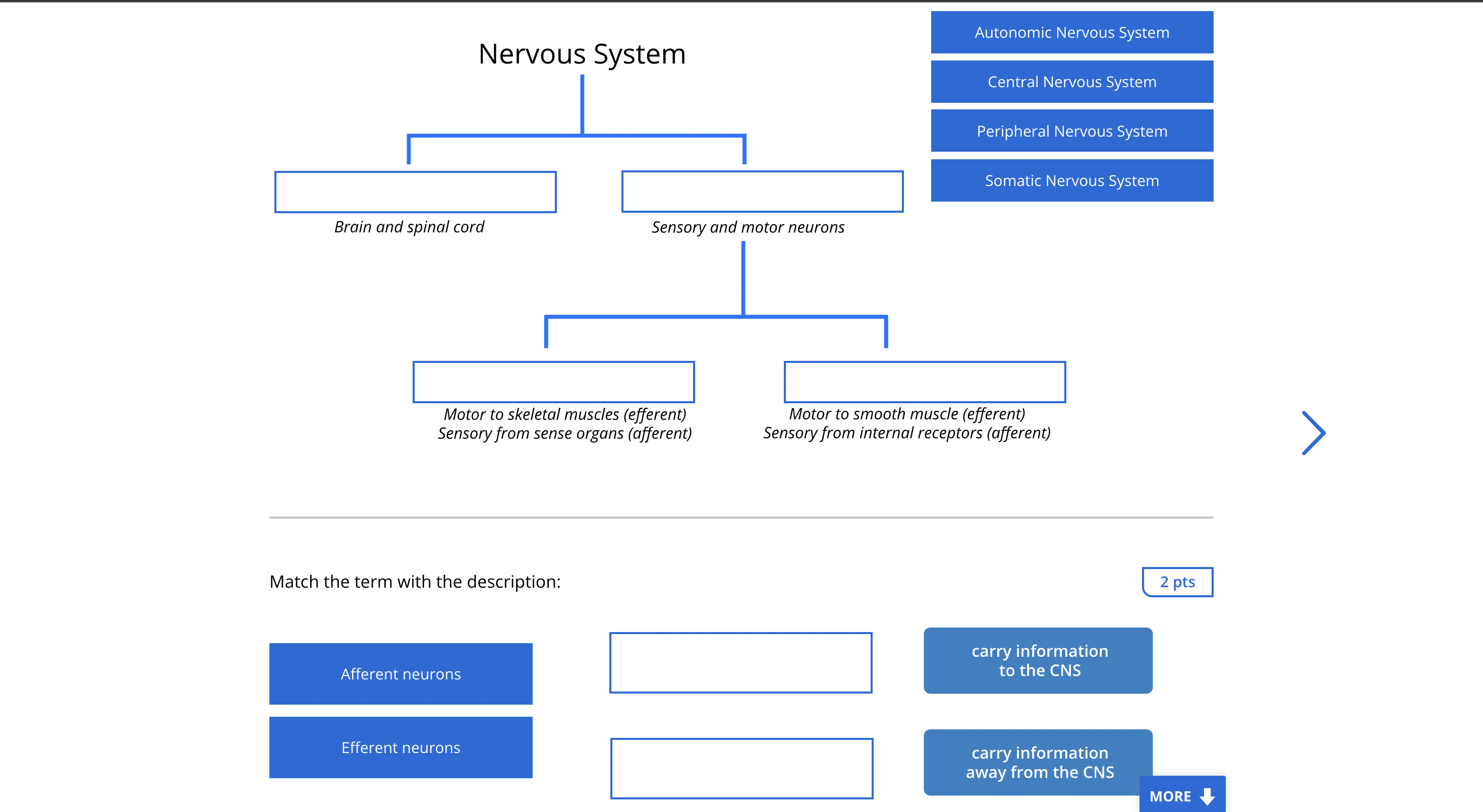 Solved Match the term with the description: | Chegg.com