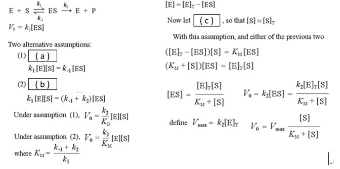 Solved The Following Is The Process Of Deriving The Micha Chegg Com