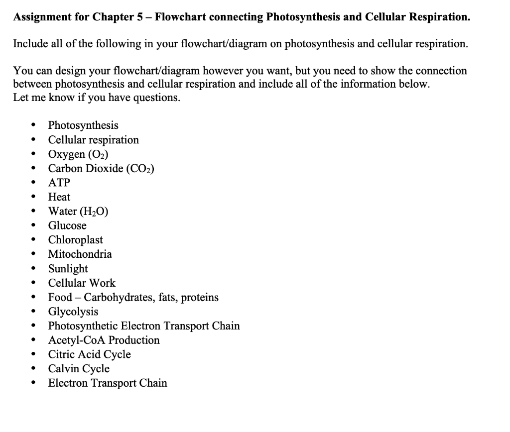 relationship between photosynthesis and cellular respiration cycle