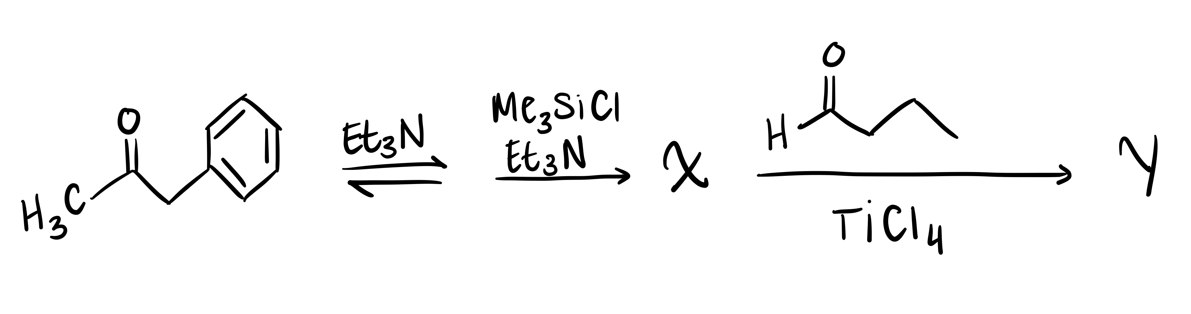 Y Structure Solved what are X and Y structures? | Chegg.com