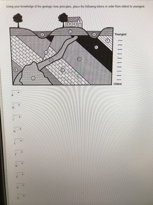 Solved Using your knowledge of the geologic time principles, | Chegg.com