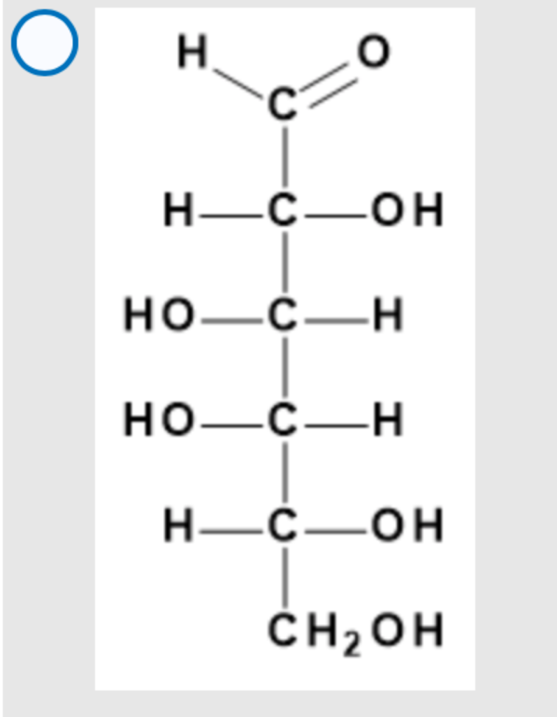 Solved Fructose bottom 3 Ribose 32.039 Sucrose A through D: | Chegg.com