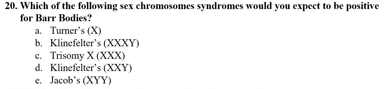 Solved Which Of The Following Sex Chromosome Syndromes