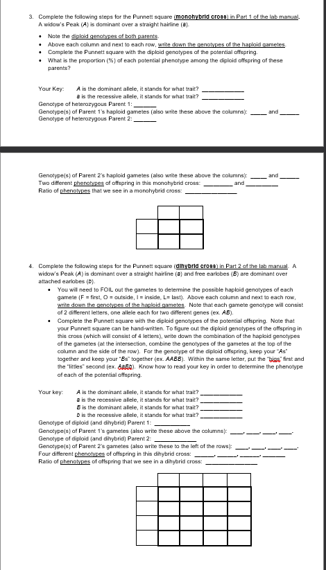 Solved 3. Complete The Following Steps For The Punnett | Chegg.com