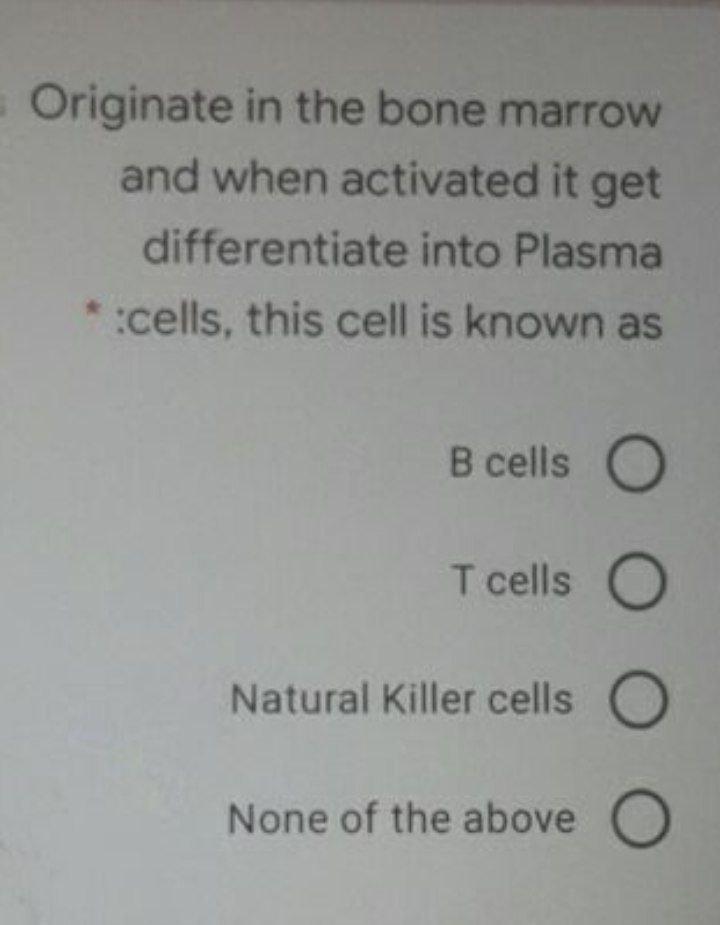 t cells are produced in blank bone marrow quizlet