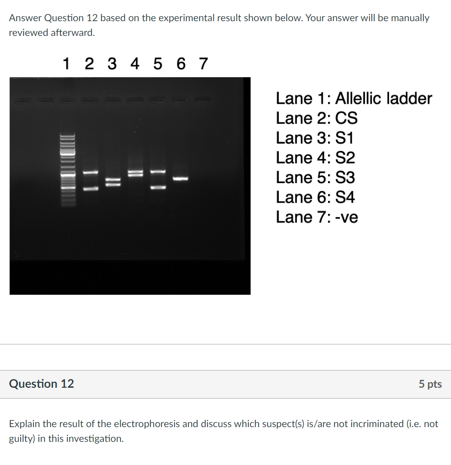 Solved Answer Question 12 based on the experimental result | Chegg.com