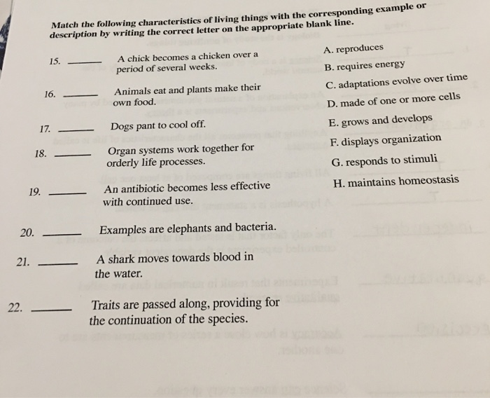 cell-division-lesson-plan-coaches