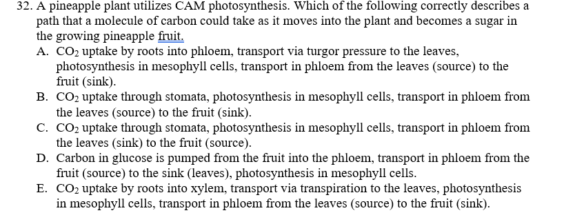 Solved 32. A pineapple plant utilizes CAM photosynthesis. | Chegg.com