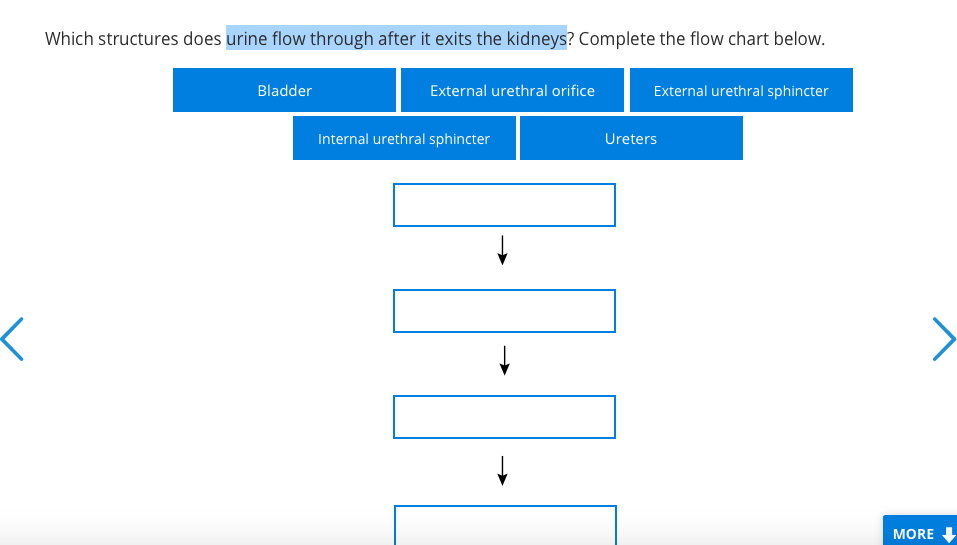 solved-which-structures-does-urine-flow-through-after-it-chegg