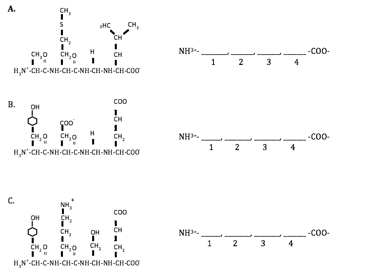 Homework helper site picture