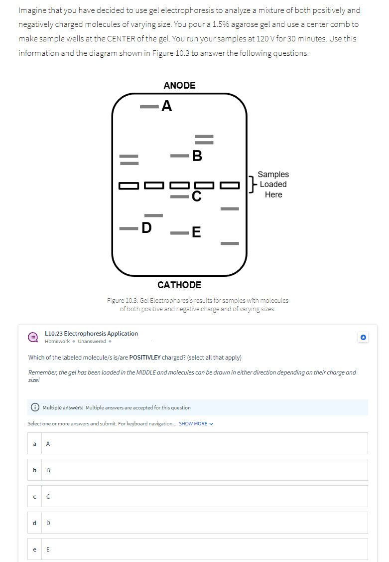 Solved Hello, I can not seem to figure out this question. A | Chegg.com