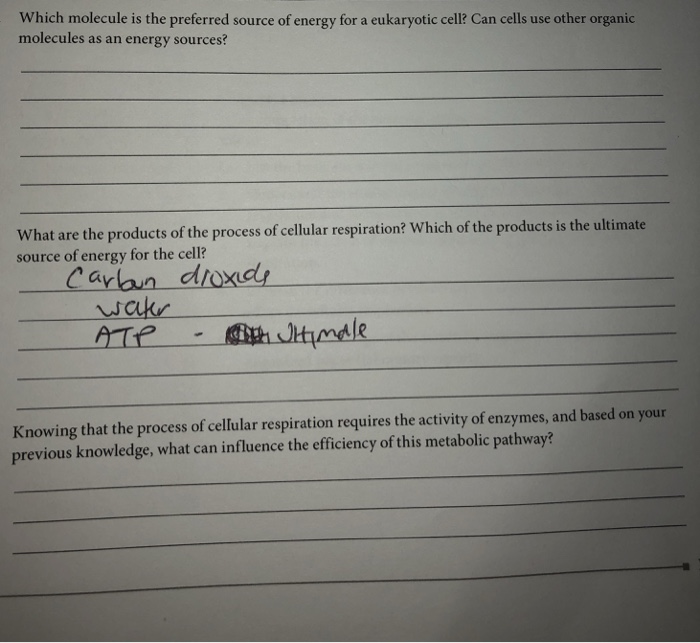 what is the preferred source of energy for most cells