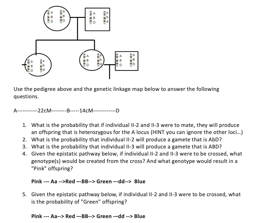 Solved Use the pedigree above and the genetic linkage map | Chegg.com