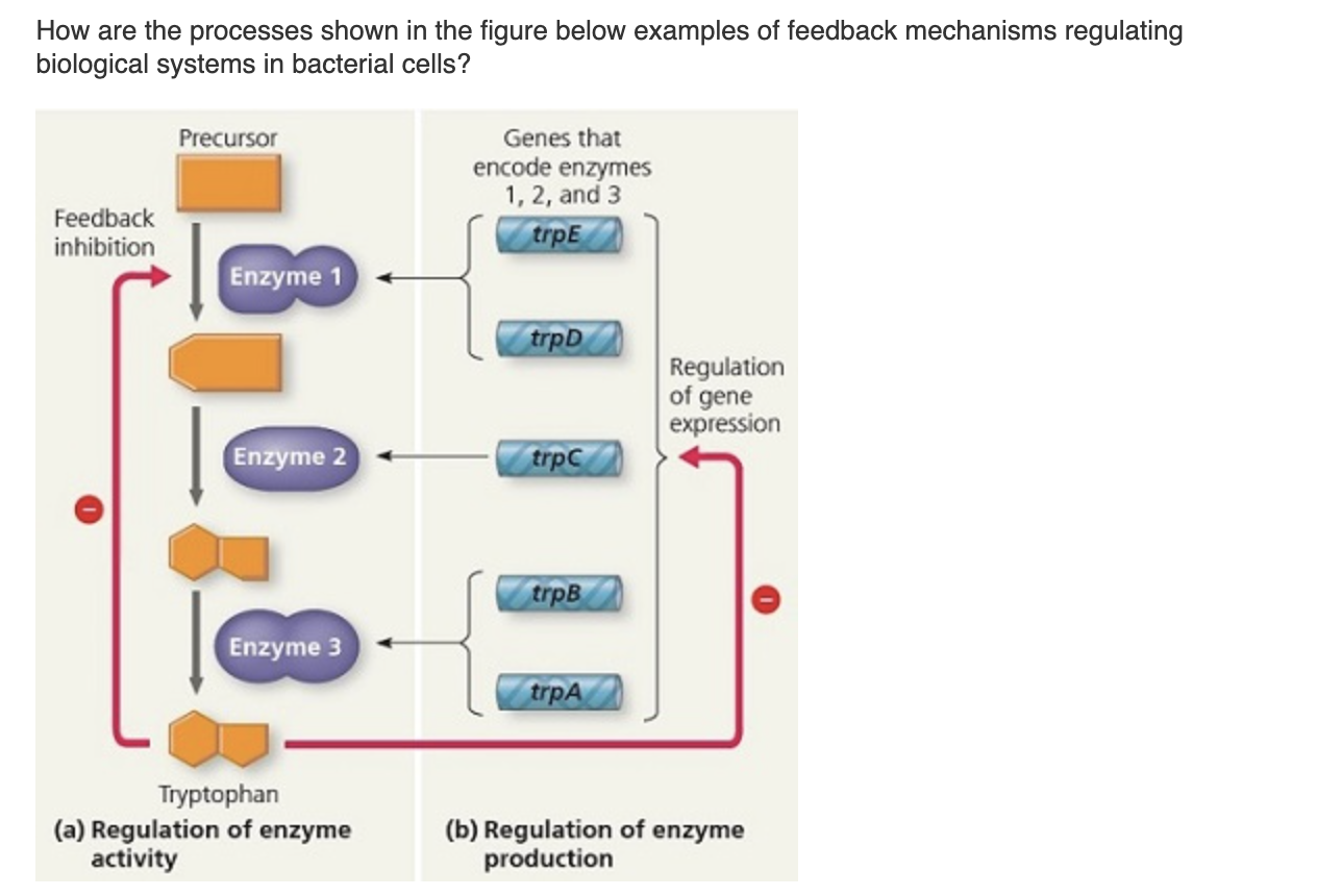 Solved How are the processes shown in the figure below | Chegg.com