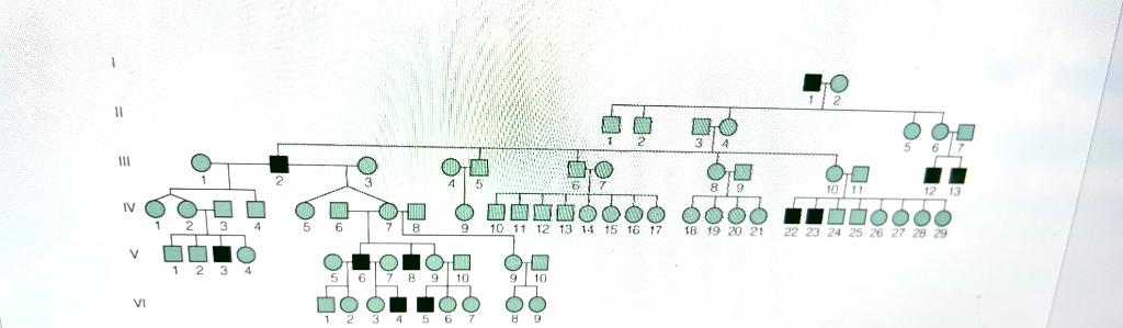 Solved What is the pattern of inheritance including 3 | Chegg.com