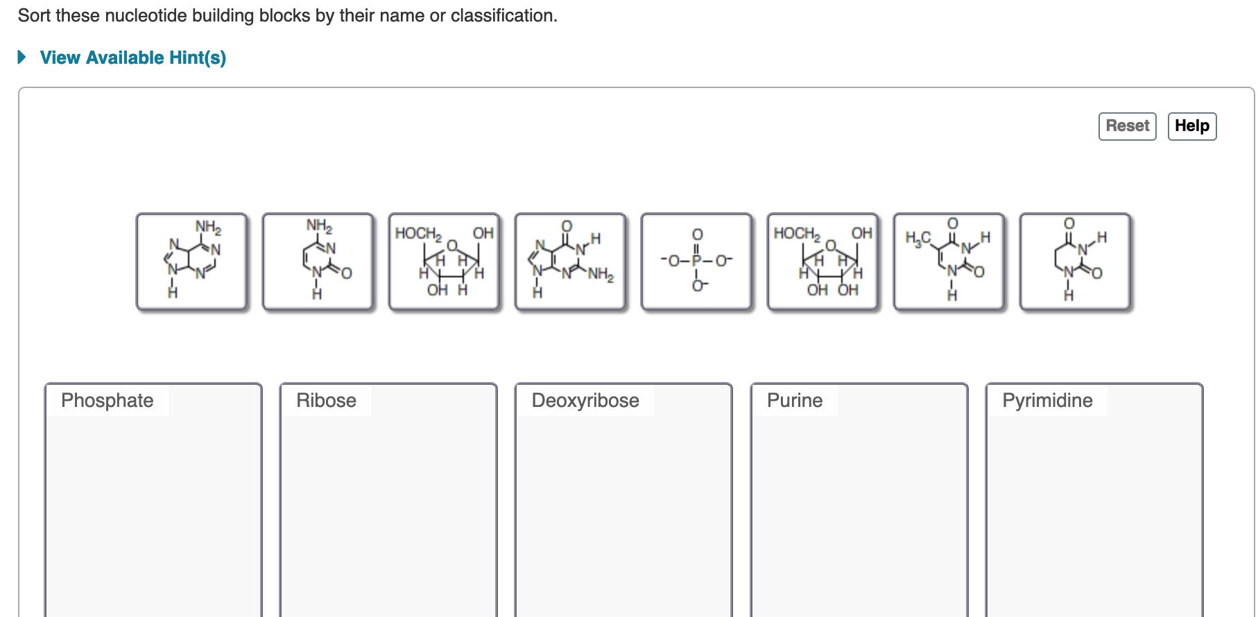 Solved Sort these nucleotide building blocks by their name | Chegg.com