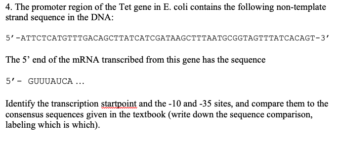 Solved 4. The promoter region of the Tet gene in E. coli | Chegg.com