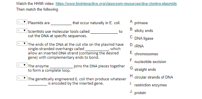 Solved Watch the HHMI video: | Chegg.com