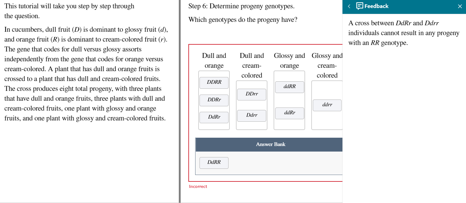 solved-step-6-determine-progeny-genotypes