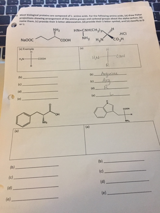 Solved Most biological proteins are composed of L amino.