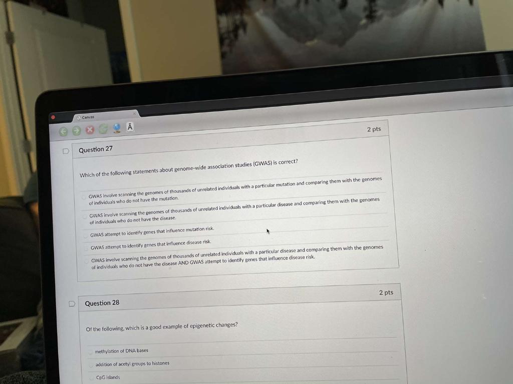 Solved Canvas Ā 2 pts Question 27 Which of the following | Chegg.com
