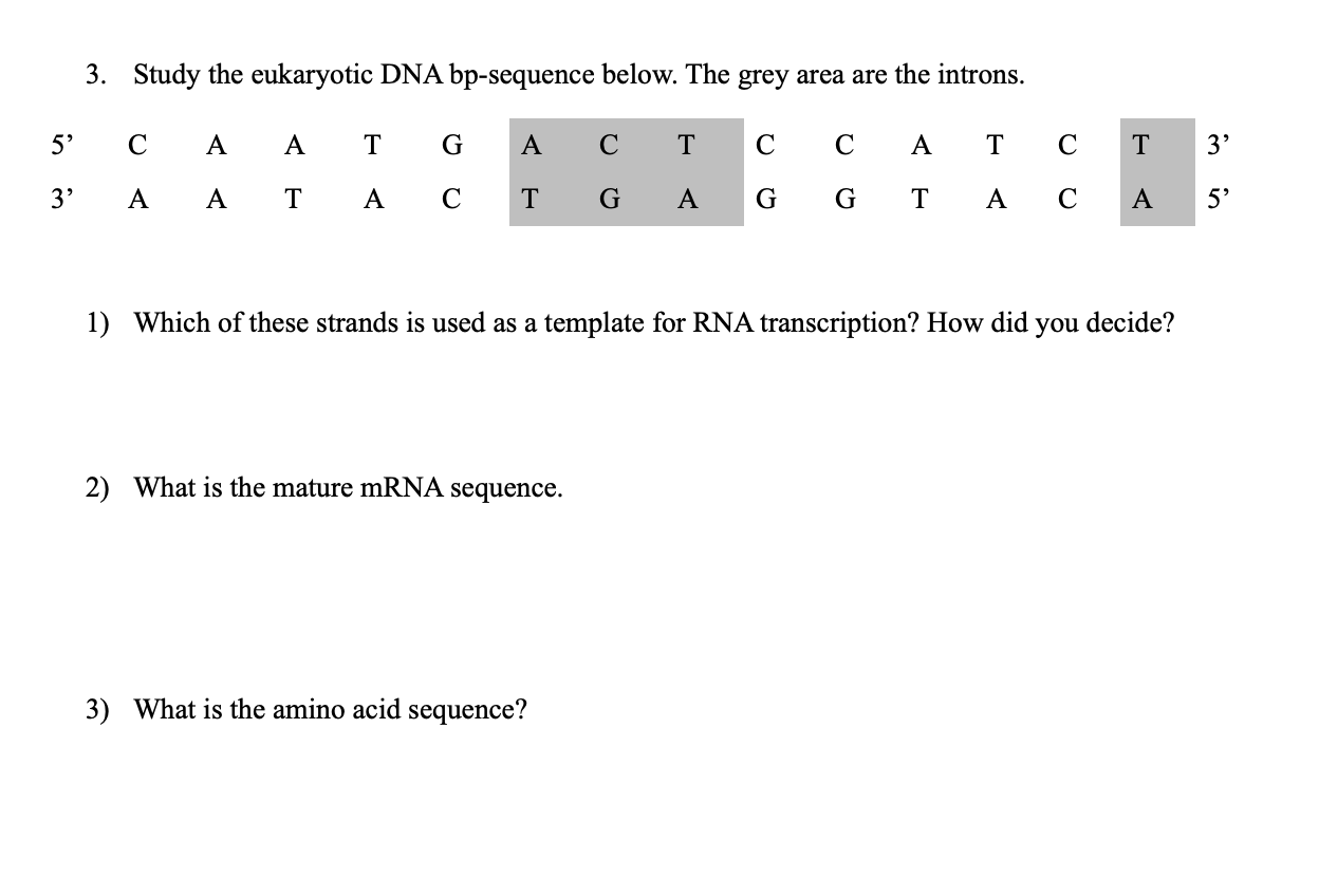 Solved 3. Study the eukaryotic DNA bpsequence below. The