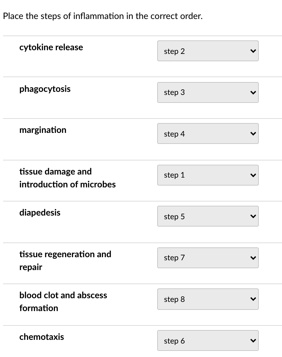 Solved Place the steps of phagocytosis in the correct order. | Chegg.com