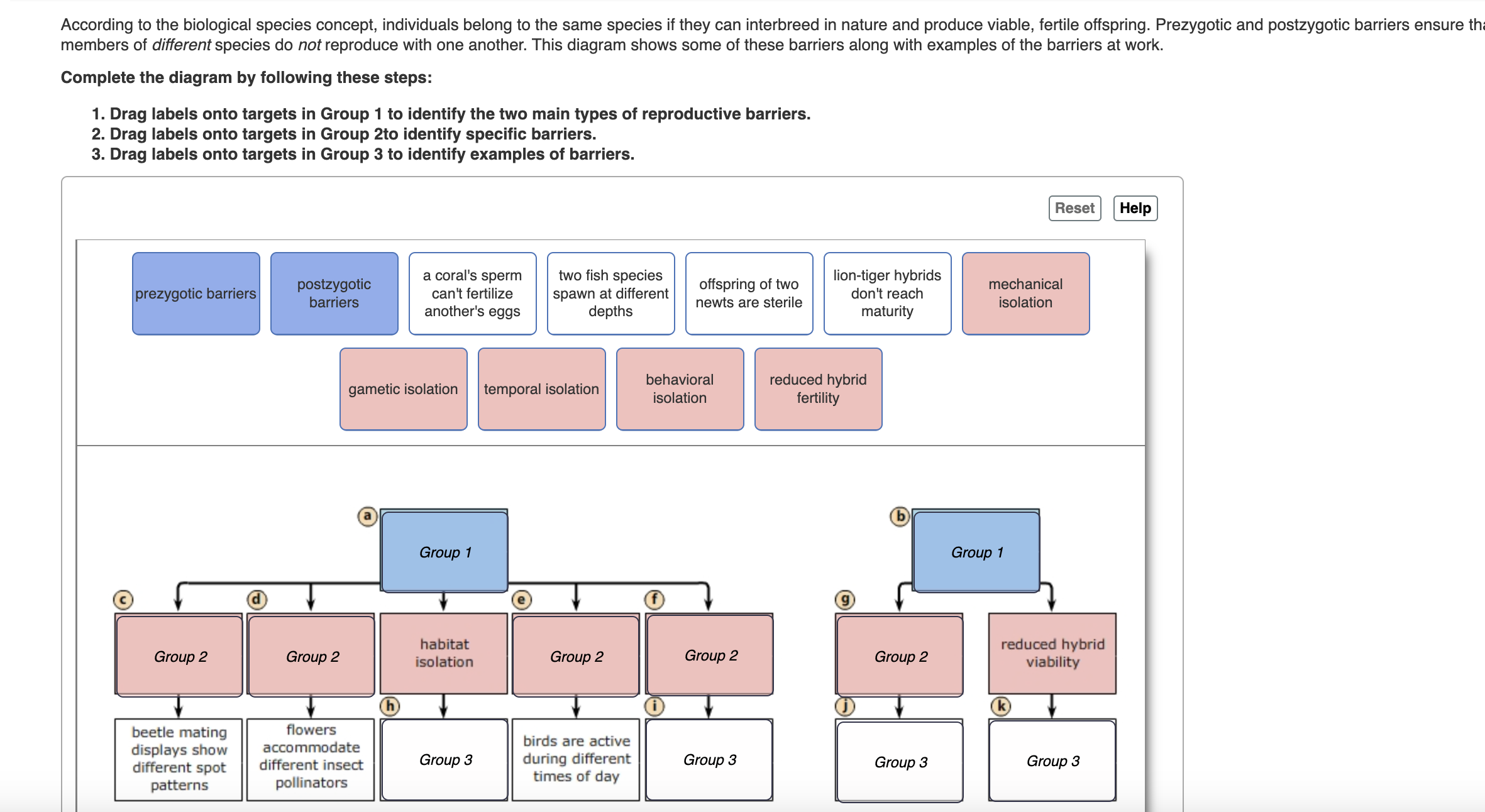 Succession, Biomagnification, and Ecological Factors KIM Chart Graphic  Organizer - Biological - Studocu