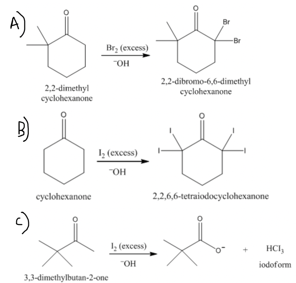 Solved Show the mechanism for the halogenation at the α | Chegg.com