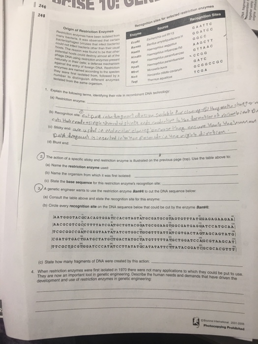 Solved 246 248 sites GAATTc GGATCC aacc AAGCTT Origin of | Chegg.com