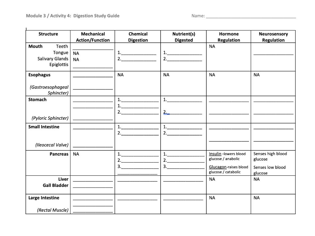 Solved Module 3 / Activity 4 Digestion Study Guide Name