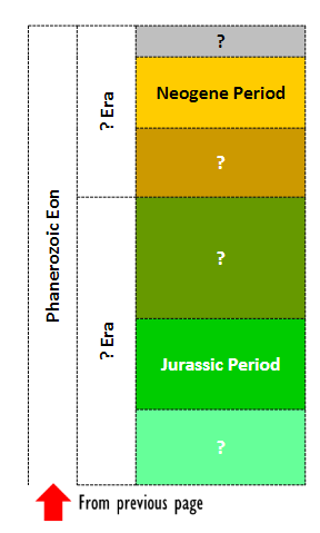 Solved ? Neogene Period ? Era ? Phanerozoic Eon ? ? Era | Chegg.com