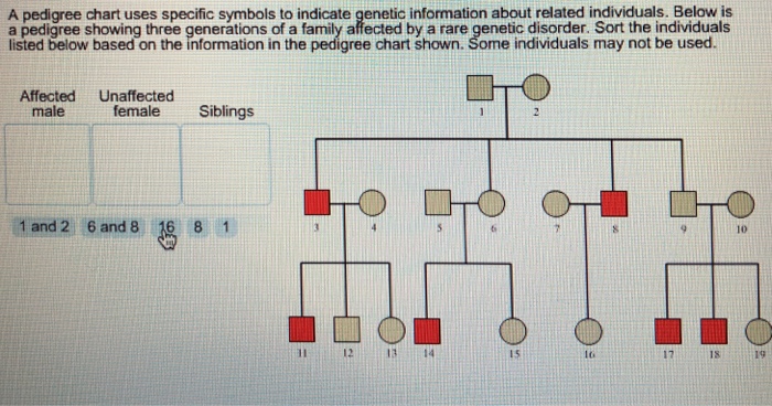 Solved A pedigree chart uses specific symbols to indicate | Chegg.com