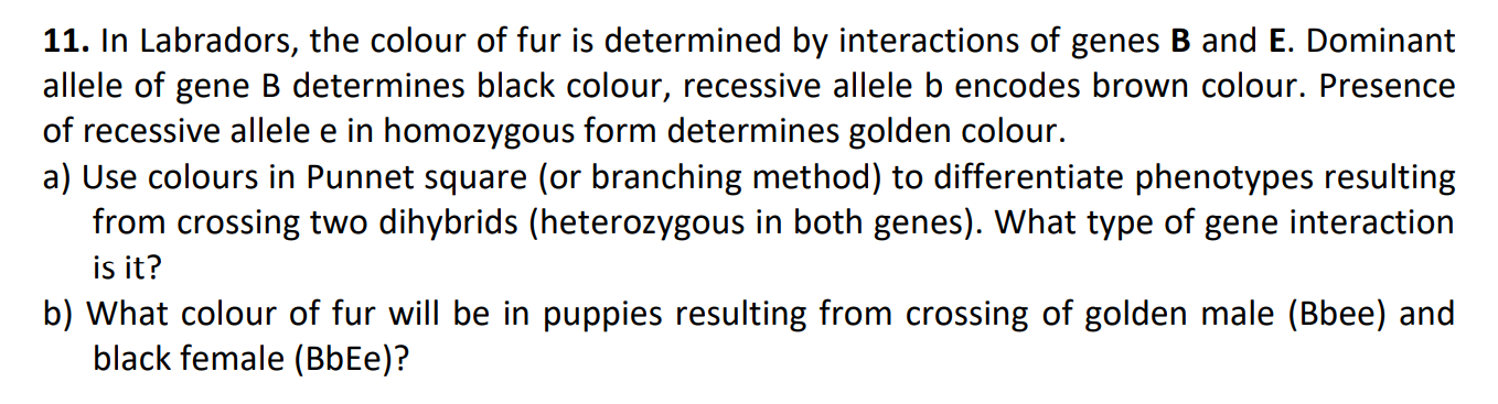 Solved 11. In Labradors, The Colour Of Fur Is Determined By | Chegg.com