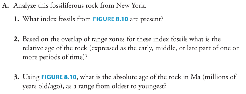 Solved X1 A. Analyze This Fossiliferous Rock From New | Chegg.com