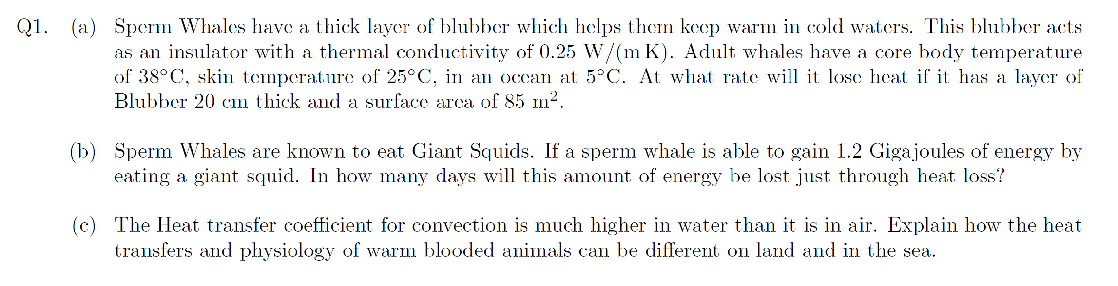 Solved (a) Sperm Whales have a thick layer of blubber which | Chegg.com