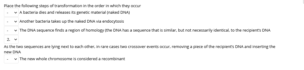 Solved Place the following steps of transformation in the | Chegg.com