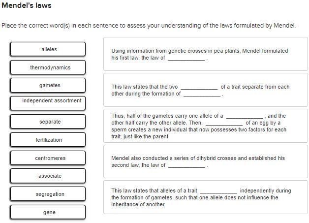 Solved Mendel's laws Place the correct word(s) in each | Chegg.com