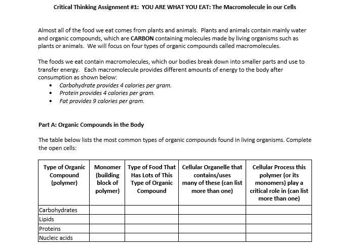 critical thinking questions about macromolecules