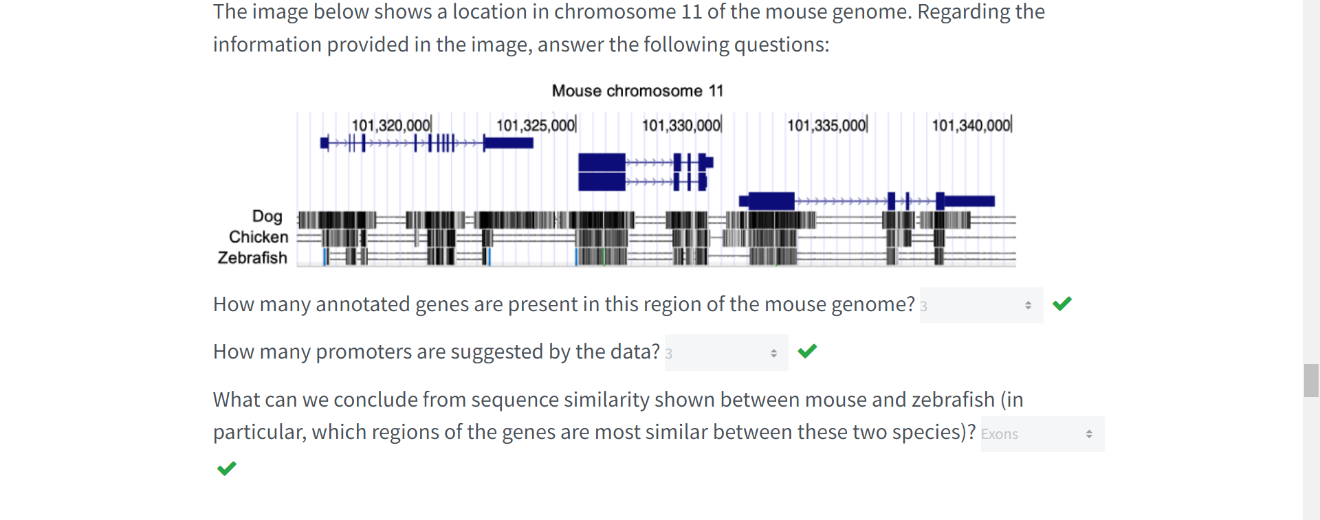Solved The image below shows a location in chromosome 11 of | Chegg.com