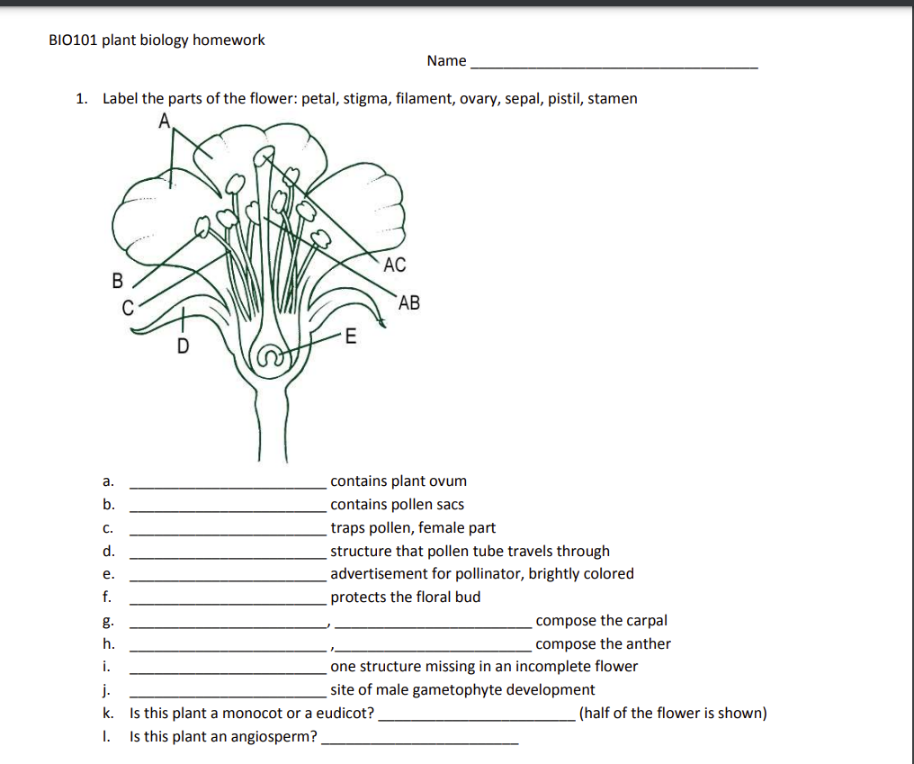 BIO101 plant biology homework Name 1. Label the parts | Chegg.com