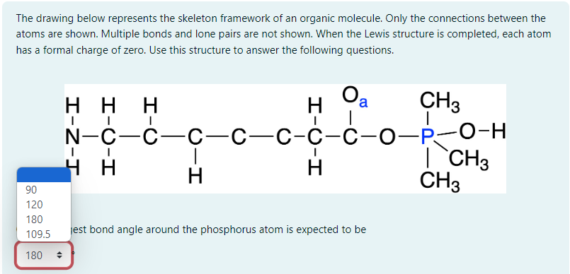Solved The drawing below represents the skeleton framework | Chegg.com