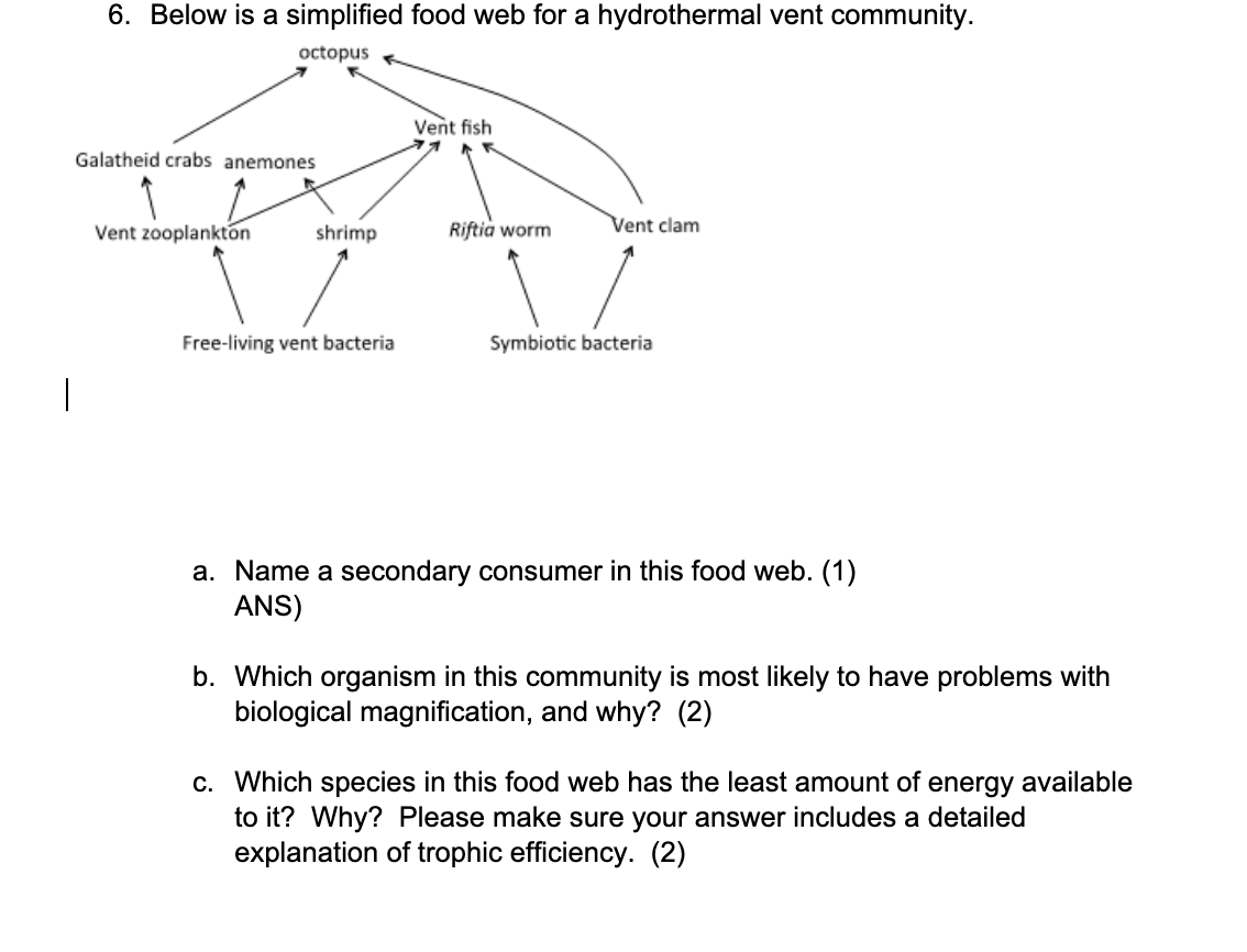 Solved 6. Below is a simplified food web for a hydrothermal | Chegg.com