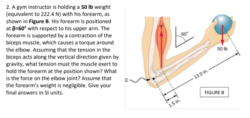 Solved 60° 2. A gym instructor is holding a 50 lb weight | Chegg.com